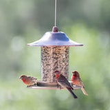 Copper Bird Feeder with Plastic Seed Reservoir Tube and Circular Perch - FREE SHIPPING