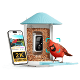 Birdfy Feeder - AI-Powered Smart Bird Feeder with Camera