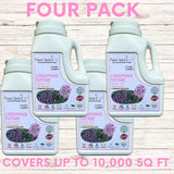 Four bottles of Flawn Seed Creeping Thyme Seed Kit on a wooden surface with promotional text.