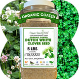 Dutch White Clover Seed