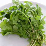 Bunch of fresh green arugula leaves on a white plate ARUGULA Seeds, Rocket