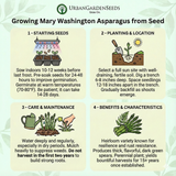 Infographic on growing Mary Washington asparagus from seed by Urban Garden Seeds. ASPARAGUS Seeds, Mary Washington