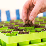 Hand planting seeds in a green seedling tray with a blurred background