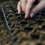 Hand planting seeds in a seedling tray with soil.