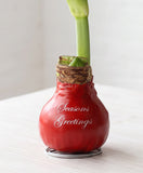 A red bulb-shaped vase with the words 'Seasons Greetings' in white script, holding a green plant stem, on a light tabletop against a soft white background.