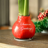 A red Christmas amaryllis bulb with green leaves, sitting on a small metal stand on a wooden table. The bulb is decorated with 'Seasons Greetings' in white script.