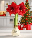 Two bright red amaryllis in a clear glass bulb vase with the words 'Happy Holidays' printed on it, set on a white table with a blurred Christmas tree and holiday decorations in the background.