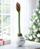 A single amaryllis plant with a pinkish-brown bud and green stem displayed in a white ceramic vase that reads 'Happy Holidays,' set on a wooden table near a window with a blurred Christmas tree in the background.