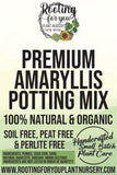 Amaryllis Premium Potting Mix