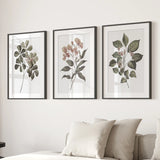 Three framed botanical prints on a wall above a sofa.