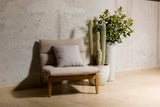 Beige armchair with a cushion next to a potted plant against a textured wall.