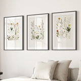 Three framed botanical prints on a wall above a sofa.