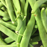 Close-up of green beans with a dark background BEAN Seeds, Kentucky Wonder Pole