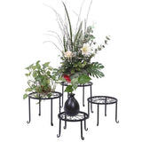 Set of 4 - Indoor Outdoor Black Metal Plant Stand - FREE SHIPPING