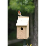Cedar Wood Birdhouse - Ideal for Eastern Western and Mountain Bluebirds - FREE SHIPPING