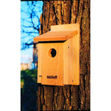 Cedar Wood Birdhouse - Ideal for Eastern Western and Mountain Bluebirds - FREE SHIPPING