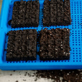 1020 Mesh Trays Shallow Extra Strength Colors -  1" Deep with soil blocks