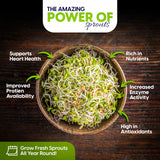 Bowl of sprouts with health benefits listed on a wooden background