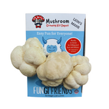 Mushroom growing kit with packaging labeled 'Fungi Friends' on a white background