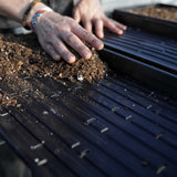 Person's hands placing soil into a black seedling tray 1020 Microgreen Trays | Heavy Duty Shallow 1020 Trays