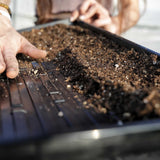 Person planting seeds in a seedling tray with soil 1020 Microgreen Trays | Heavy Duty Shallow 1020 Trays