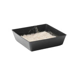 Black rectangular 5X5 Shallow Microgreen Trays with white fur on a white background