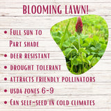 Promotional graphic for a blooming lawn with text on a wooden background