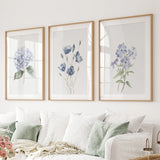 Three framed floral prints on a wall above a sofa.