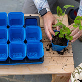 Person planting a small plant into a blue pot on a wooden table with blue seedling trays. 3.3" Heavy Duty Seed Starting Pots