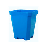 Blue plastic t5" Heavy Duty Nursery Pots