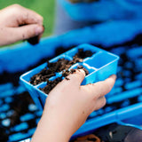 Person holding a blue seedling tray with soil, with a blurred background of more trays and hands.