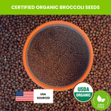 Organic Broccoli Seeds