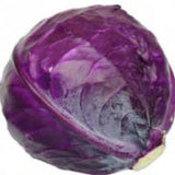 Purple cabbage on a white background CABBAGE Seeds, Red Acre
