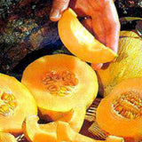 Person holding a sliced yellow melon with a close-up of the interior. CANTALOUPE Seeds, Minnesota Midget