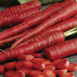 Red carrots on a wooden surface CARROT Seeds, Atomic Red