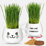 Two white mugs with cat face designs, filled with green grass, on a white background.