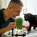 A man smiling while holding a small green grass plant in a white cat-face mug, with a black cat standing nearby. Black dimension arrows and text show the plant's height as 4 inches and width as 5.