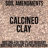 Text 'SOIL AMENDMENTS CALCINED CLAY' on a textured beige background with 'ROOTING FOR YOU PLANT NURSERY' and website URL.