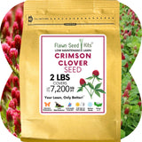Crimson Clover Seed