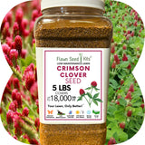 Crimson Clover Seed