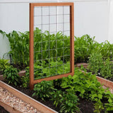 48-inch Outdoor Pine Wood Frame Garden Trellis with Metal Wire Lattice - FREE SHIPPING
