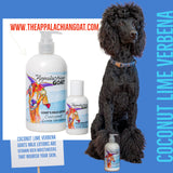 COCONUT LIME VERBENA GOATS MILK LOTION
