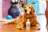 Golden retriever sitting on a wooden floor with a bottle of COCONUT LIME VERBENA GOATS MILK LOTION