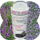 Flawn Seed Kits Creeping Thyme Seed Kit with purple flowers in the background