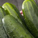 Green cucumbers with water droplets on a dark background CUCUMBER Seeds, Straight Eight