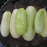 CUCUMBER Seeds, White Wonder cucumbers on a wooden surface