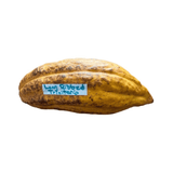 Cocoa pod with 'Long Ribbed Trinitario' label on a white background