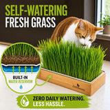 A cat is shown beside a rectangular wooden planter filled with bright green grass in a real indoor setting. Large text reads 'SELF-WATERING FRESH GRASS,' with an inset diagram explaining the built-in water reservoir and the brand name ZestGreens visible on the planter.