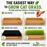 An infographic explaining how to grow ZestiGreens cat grass in four steps: add water, add seeds, cover for 3 days, and harvest in 5-7 days. The product shown is a rectangular wooden planter with soil, a black lid, and green grass growing inside.