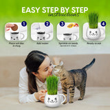 A cat grass starter kit shown with a woman and a cat on a bed, plus four step-by-step instruction panels at the top. The product is a white ceramic mug with a cat face design containing green grass sprouts, and the instructions say to place soil disc, add water, sprinkle seeds, and ready to eat.